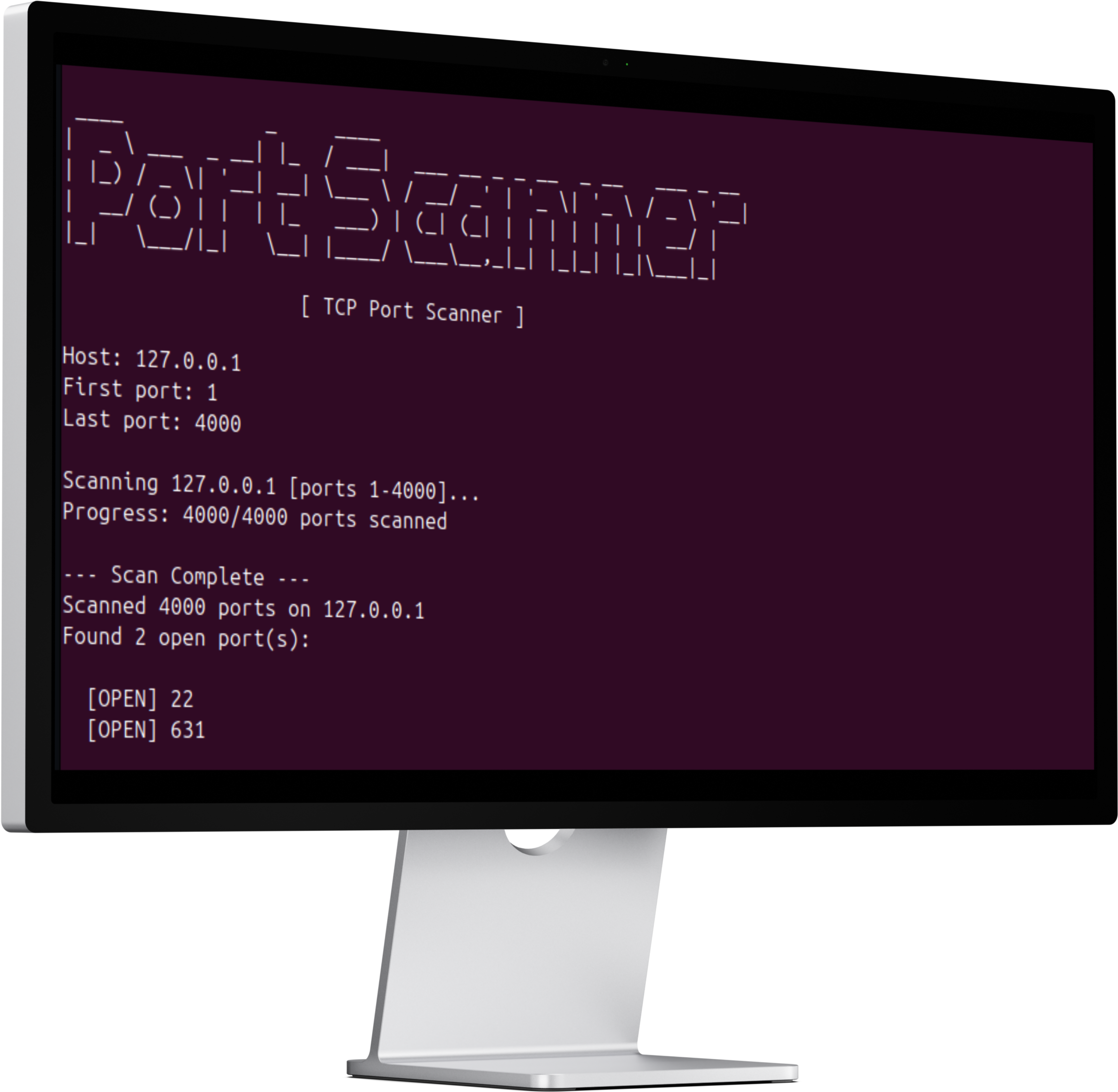 Network Port Scanner